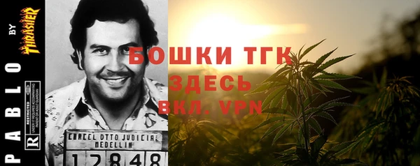 гидра Абаза