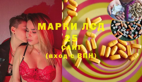 гидра Абаза
