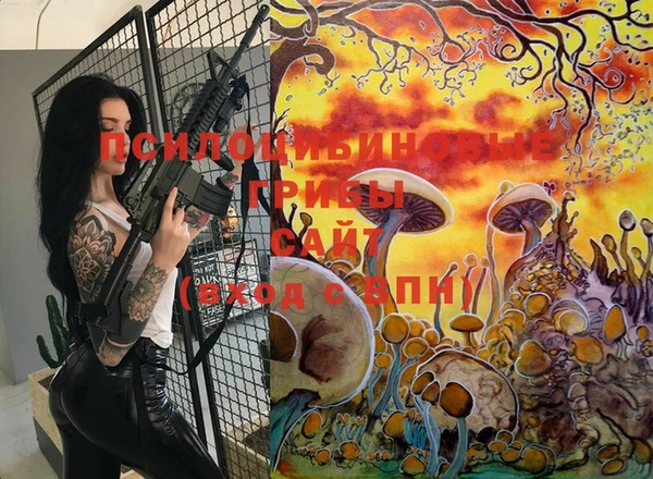 стафф Гусь-Хрустальный