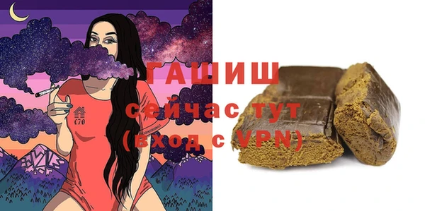 гидра Абаза