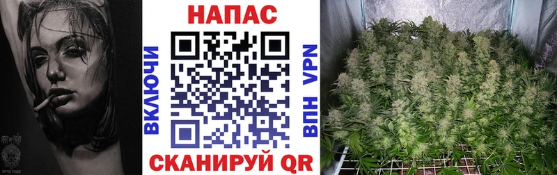 OMG Яровое МАРИХУАНА THC 21%